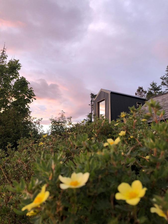 Tiny Home In Isle Of Skye-Pet Friendly Elgol Kültér fotó