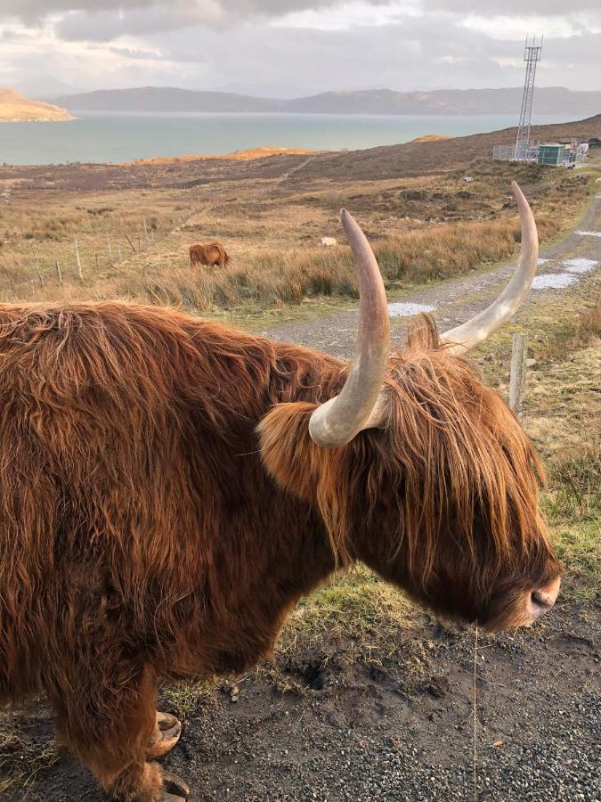 Tiny Home In Isle Of Skye-Pet Friendly Elgol Kültér fotó
