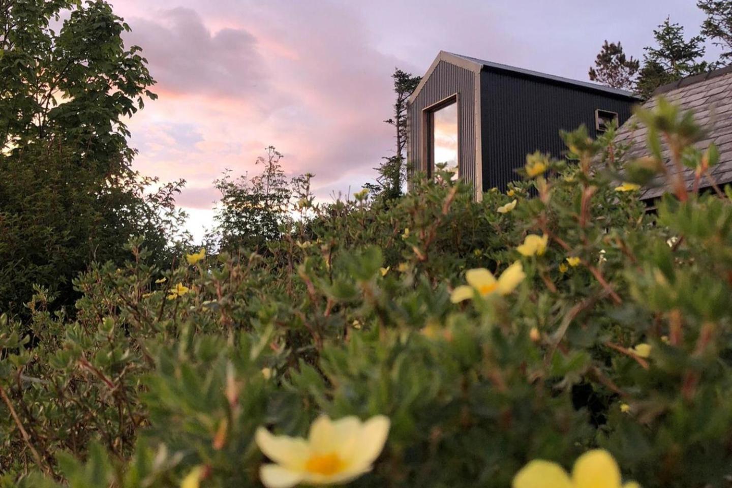 Tiny Home In Isle Of Skye-Pet Friendly Elgol Kültér fotó